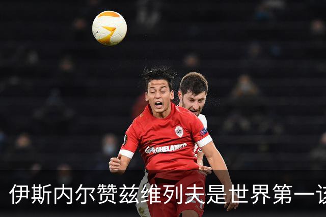 伊斯内尔赞兹维列夫是世界第一该有的样子，世界最好接发球员之一