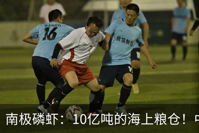 南极磷虾：10亿吨的海上粮仓！中国造最大捕捞船，一年能捕10万吨