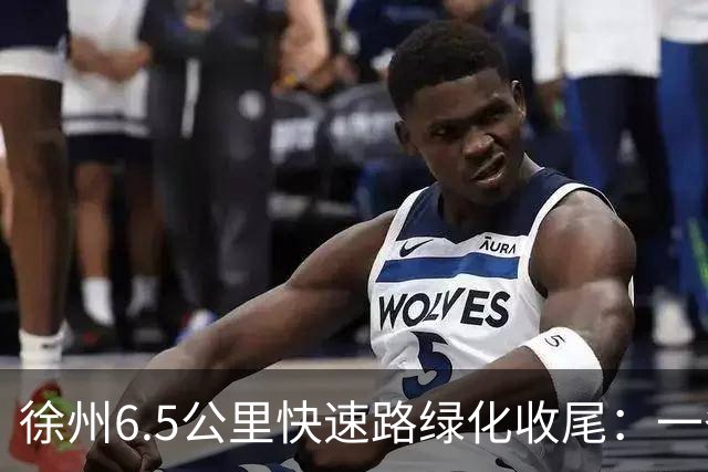徐州6.5公里快速路绿化收尾：一条高架的价值，一半在桥面上，一半在桥下