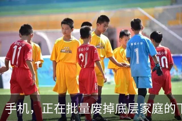手机，正在批量废掉底层家庭的下一代
